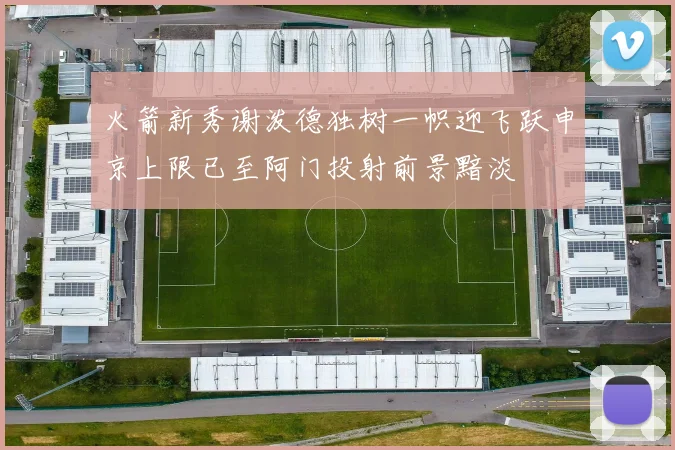 火箭新秀谢泼德独树一帜迎飞跃申京上限已至阿门投射前景黯淡